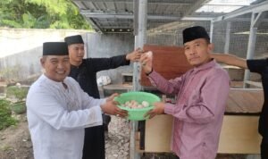 Plt Kanwil Ditjendpas