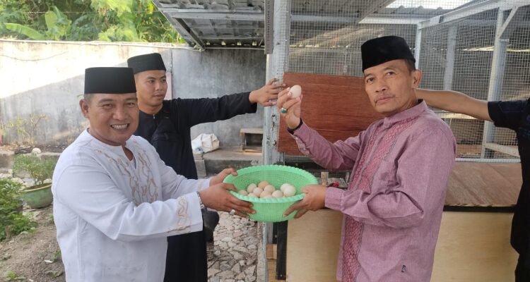 Plt Kanwil Ditjendpas