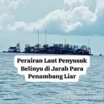 Laut Penyusuk