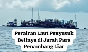 Laut Penyusuk