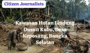 Hutan Lindung