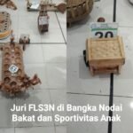 FLS3N