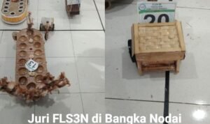 FLS3N