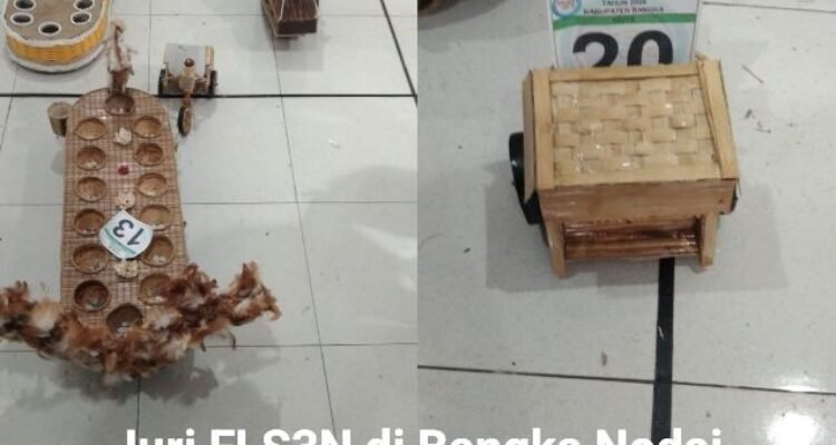 FLS3N