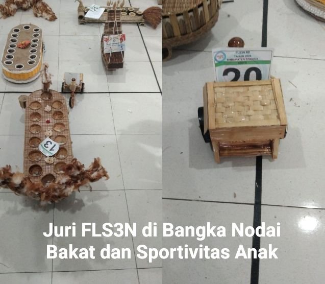 FLS3N