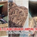 PT Tekom