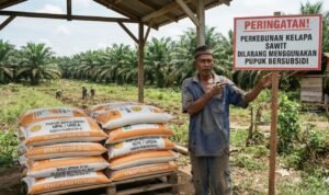 Pupuk Subsidi