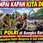 Kapolres